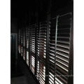 Quality Solid Wood Shutter (SGD-S-5876)